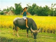 Bóng đá anh, ngoại hạng anh, lịch thi đấu euro 2012, Tiếng sáo trúc ở Tam Đảo